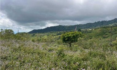 VENDO FINCA DE 23 HECTAREAS + CON AGUA VIVA