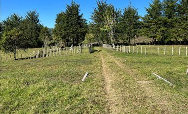 VENDO FINCA DE 23 HECTAREAS + CON AGUA VIVA
