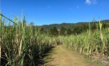 VENDO FINCA DE 23 HECTAREAS + CON AGUA VIVA