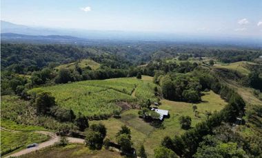 VENDO FINCA DE 23 HECTAREAS + CON AGUA VIVA