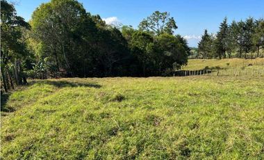 VENDO FINCA DE 23 HECTAREAS + CON AGUA VIVA