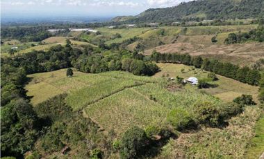 VENDO FINCA DE 23 HECTAREAS + CON AGUA VIVA