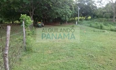 venta de terreno en chame