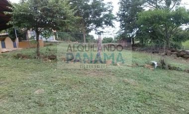 venta de terreno en chame