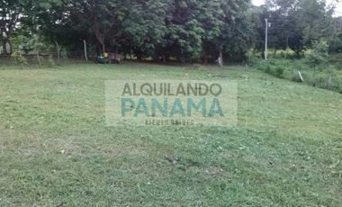 venta de terreno en chame