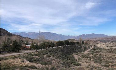 VENDE TERRENO EN LAS CARDITAS PORTRERILLOS