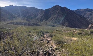 VENDE TERRENO EN LAS CARDITAS PORTRERILLOS