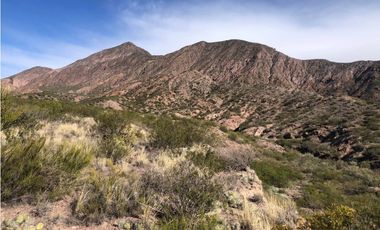 VENDE TERRENO EN LAS CARDITAS PORTRERILLOS