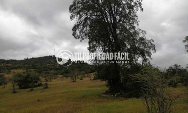 SECTOR EL PARRÓN, CERRO EL QUILLAY, RUTA J-680