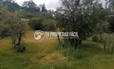 SECTOR EL PARRÓN, CERRO EL QUILLAY, RUTA J-680