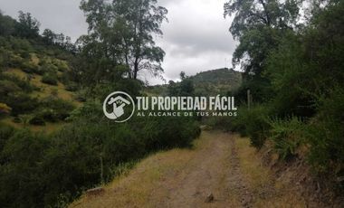 SECTOR EL PARRÓN, CERRO EL QUILLAY, RUTA J-680
