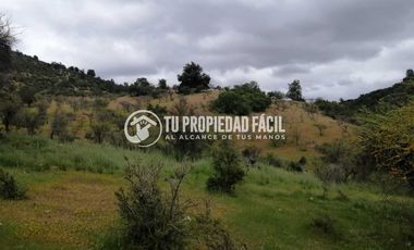 SECTOR EL PARRÓN, CERRO EL QUILLAY, RUTA J-680