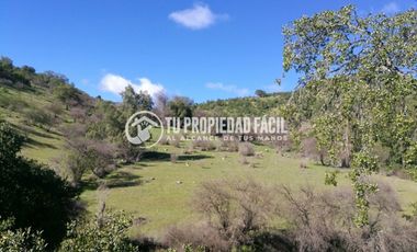 SECTOR EL PARRÓN, CERRO EL QUILLAY, RUTA J-680