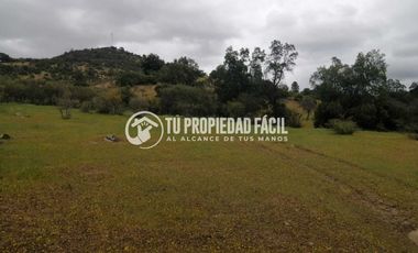 SECTOR EL PARRÓN, CERRO EL QUILLAY, RUTA J-680
