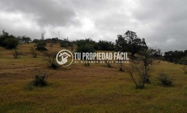SECTOR EL PARRÓN, CERRO EL QUILLAY, RUTA J-680