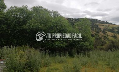 SECTOR EL PARRÓN, CERRO EL QUILLAY, RUTA J-680