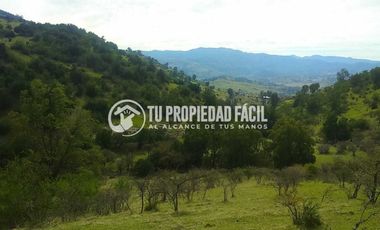 SECTOR EL PARRÓN, CERRO EL QUILLAY, RUTA J-680