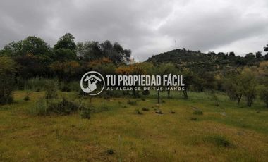 SECTOR EL PARRÓN, CERRO EL QUILLAY, RUTA J-680