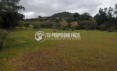 SECTOR EL PARRÓN, CERRO EL QUILLAY, RUTA J-680