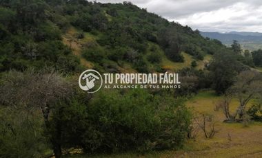 SECTOR EL PARRÓN, CERRO EL QUILLAY, RUTA J-680