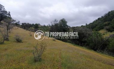 SECTOR EL PARRÓN, CERRO EL QUILLAY, RUTA J-680