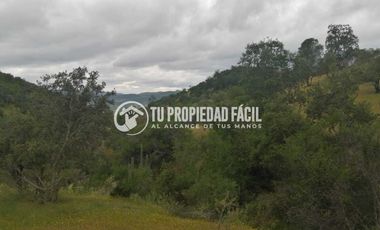 SECTOR EL PARRÓN, CERRO EL QUILLAY, RUTA J-680