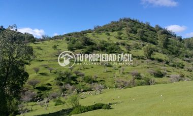 SECTOR EL PARRÓN, CERRO EL QUILLAY, RUTA J-680
