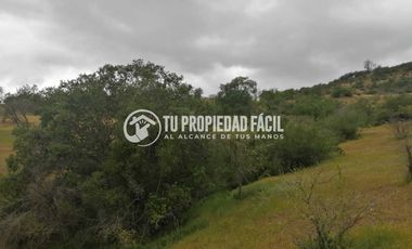 SECTOR EL PARRÓN, CERRO EL QUILLAY, RUTA J-680