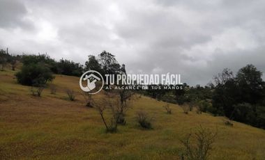 SECTOR EL PARRÓN, CERRO EL QUILLAY, RUTA J-680