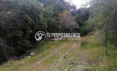 SECTOR EL PARRÓN, CERRO EL QUILLAY, RUTA J-680