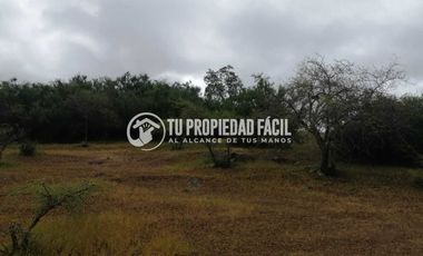 SECTOR EL PARRÓN, CERRO EL QUILLAY, RUTA J-680
