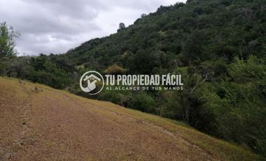 SECTOR EL PARRÓN, CERRO EL QUILLAY, RUTA J-680