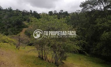 SECTOR EL PARRÓN, CERRO EL QUILLAY, RUTA J-680