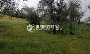 SECTOR EL PARRÓN, CERRO EL QUILLAY, RUTA J-680