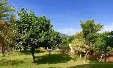 Gran Casa en venta en Malinalco, Estado de México