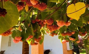 Gran Casa en venta en Malinalco, Estado de México