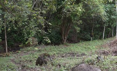 LOTE EN VENTA  EN SOPETAN ANTIOQUIA.