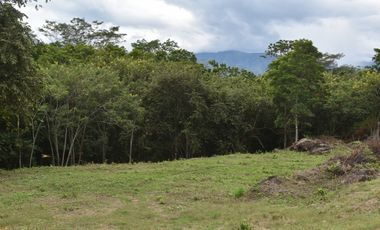 LOTE EN VENTA  EN SOPETAN ANTIOQUIA.