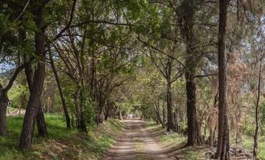 Terreno en Venta en Santa Mónica Campestre, Chapala Jalisco Lote 46