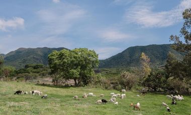 Terreno en Venta en Santa Mónica Campestre, Chapala Jalisco Lote 46