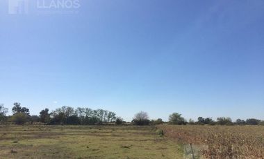Campo | Camino a Carlos Keen