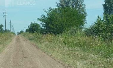 Campo | Camino a Carlos Keen