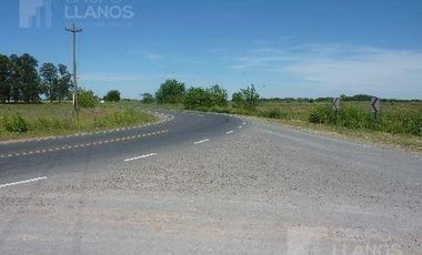 Campo | Camino a Carlos Keen