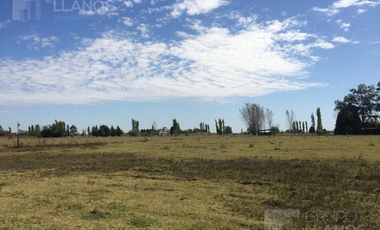 Campo | Camino a Carlos Keen