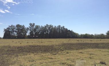 Campo | Camino a Carlos Keen