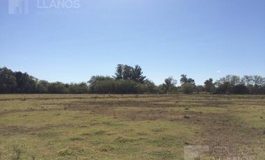 Campo | Camino a Carlos Keen