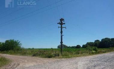 Campo | Camino a Carlos Keen