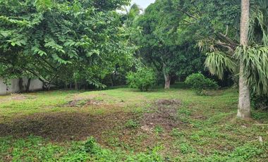 Se vende terreno en la Aguada