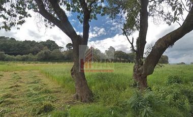 TLALPAN SAN MIGUEL AJUSCO TERRENO EN VENTA