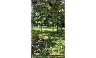 VENTA DE TERRENO EN RIO GRANDE PENONOMÉ